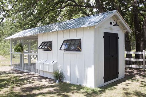 turning shed into chicken coop paint